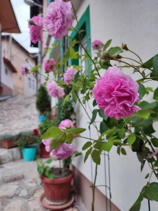 Green Gate Apartments Saraybosna Dış mekan fotoğraf